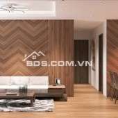 Cho thuê căn hộ chung cư  tại sunshine city Hà Nội